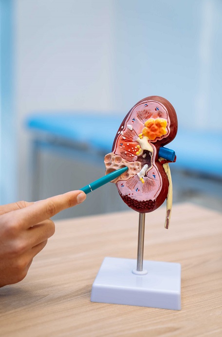 Comprehensive Urology Services in Warangal